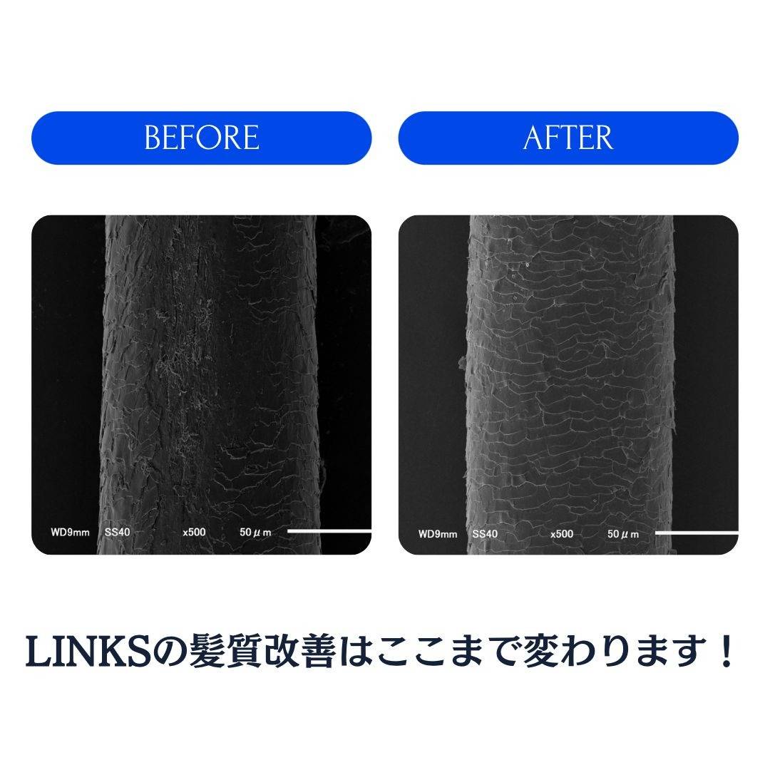 LINKSの髪質改善の考え方